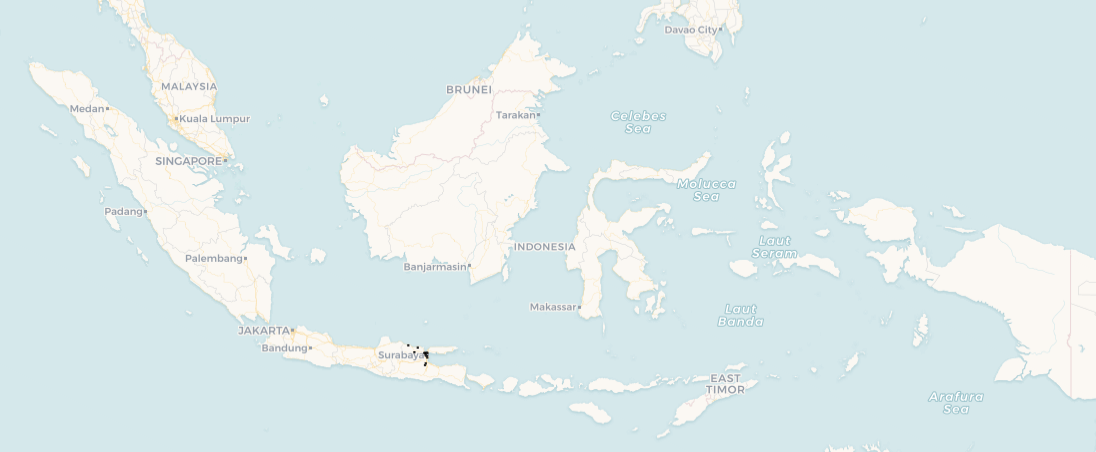 Esri Topo